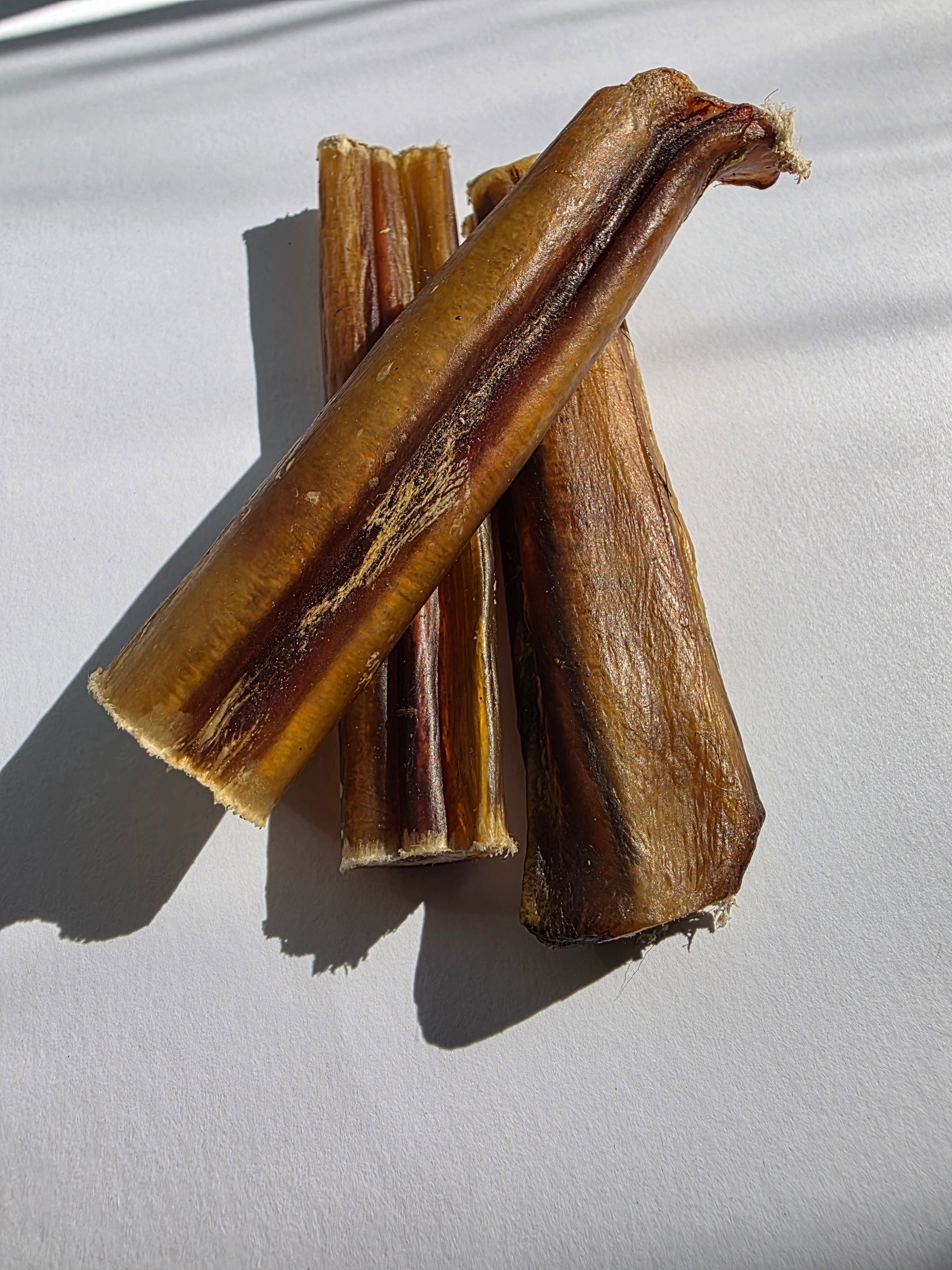 Džiovintas jaučio penis, 10 cm ilgio, 1 vnt