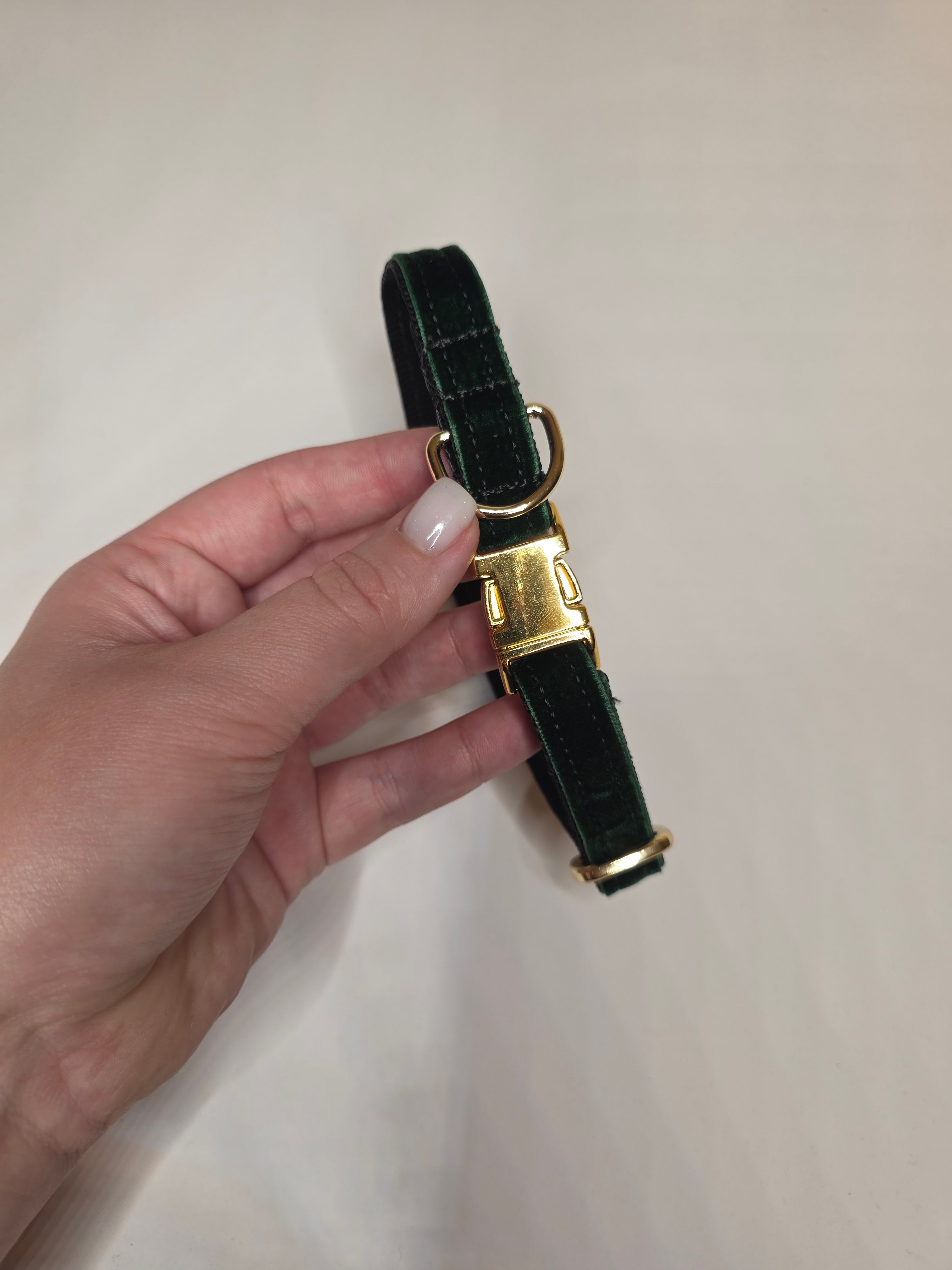 Reguliuojamas antkaklis, apsiūtas veliūru, žalias