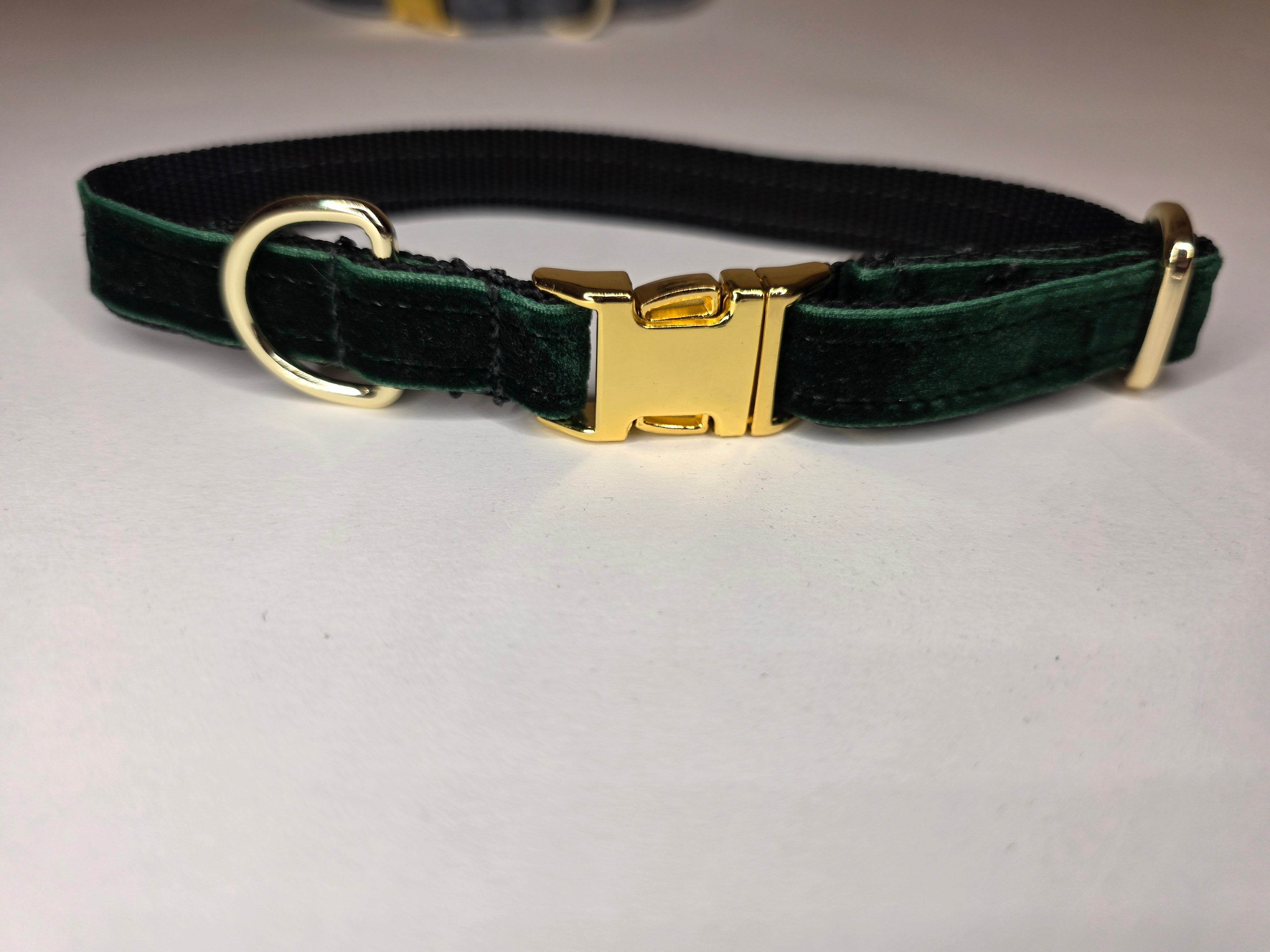 Reguliuojamas antkaklis, apsiūtas veliūru, žalias