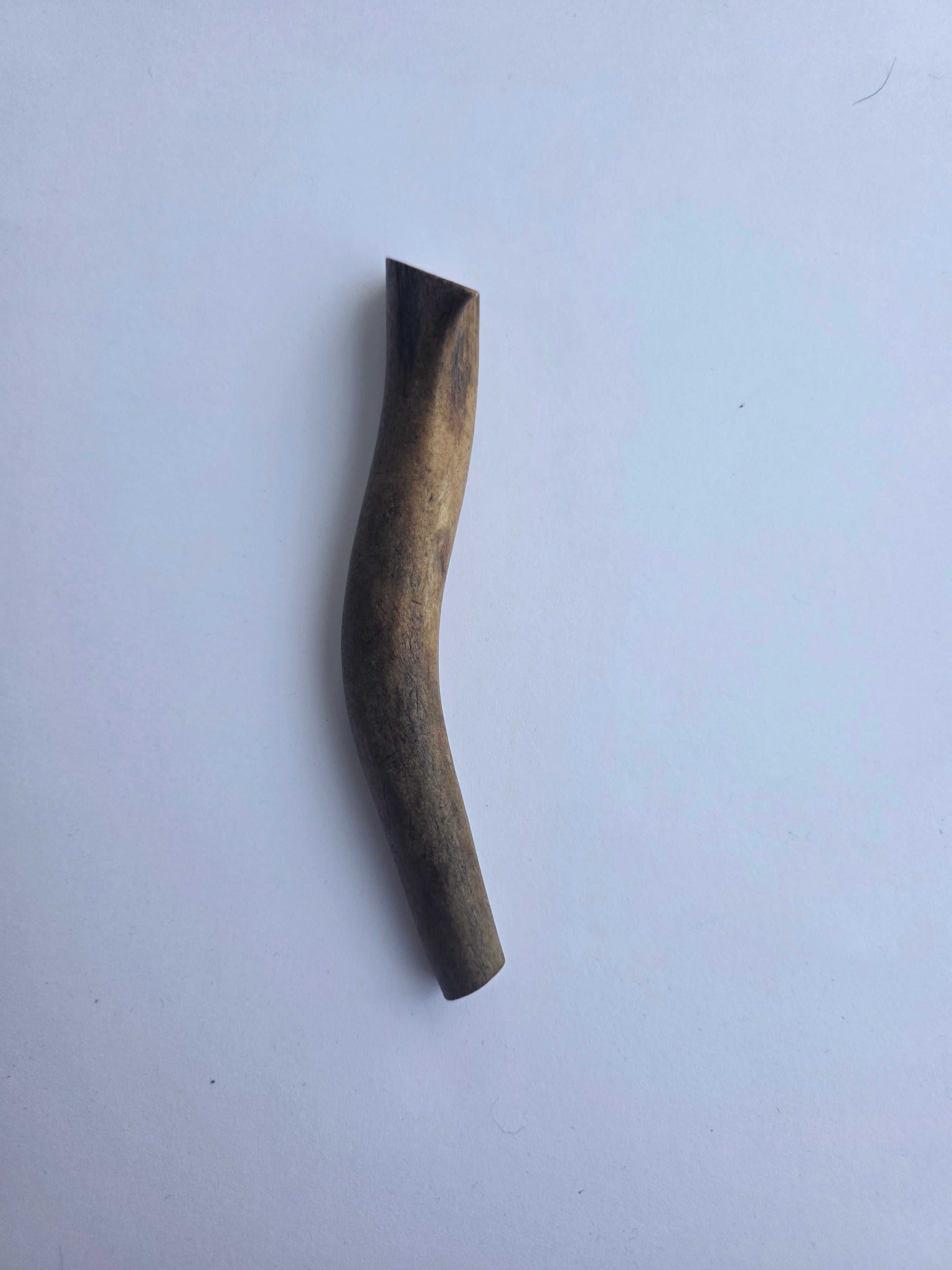 Elnio rago dalis, 12 cm, 1 vnt, KIETAS