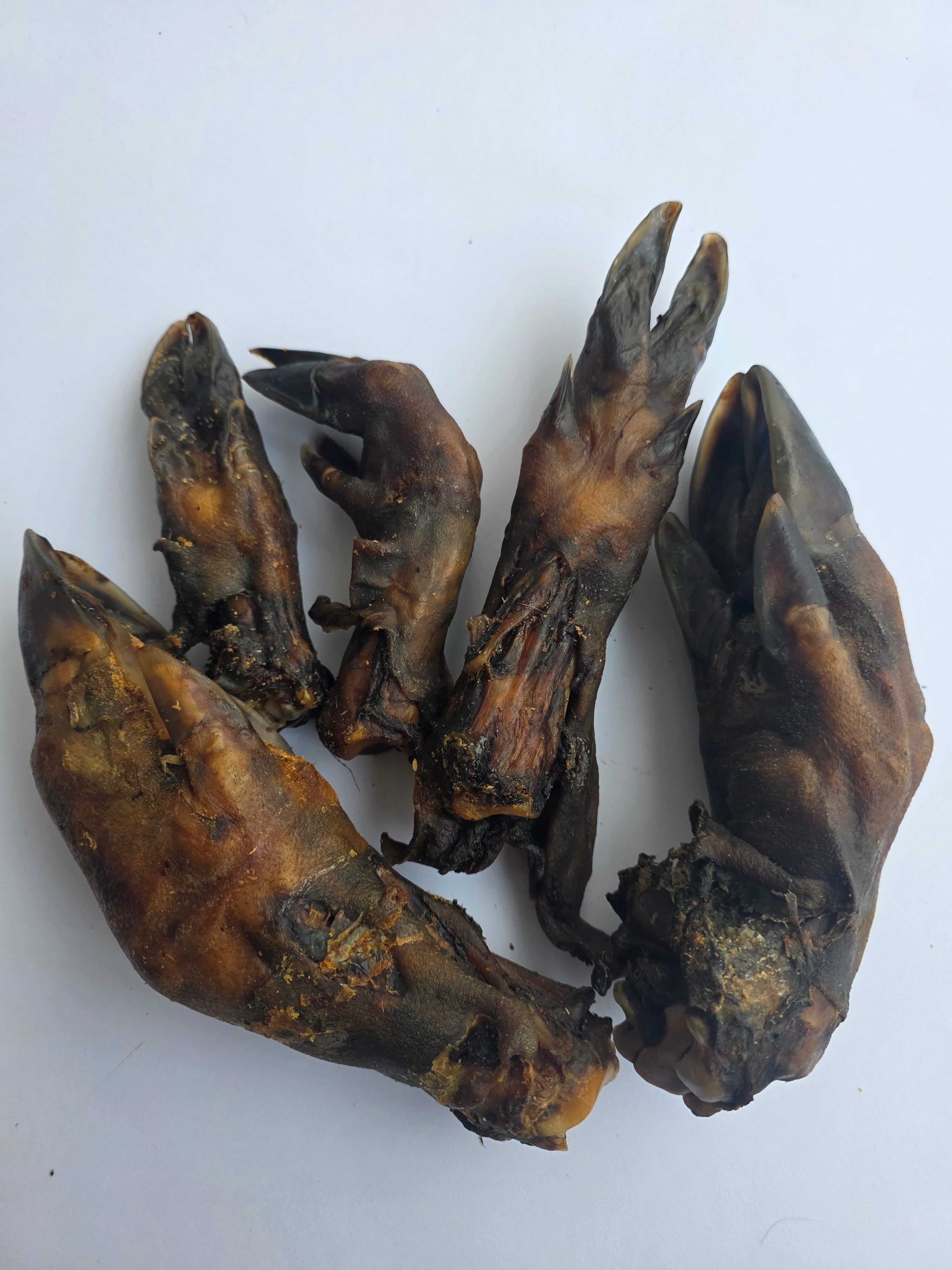 Laukinio šerno kojos, 5vnt rinkinys