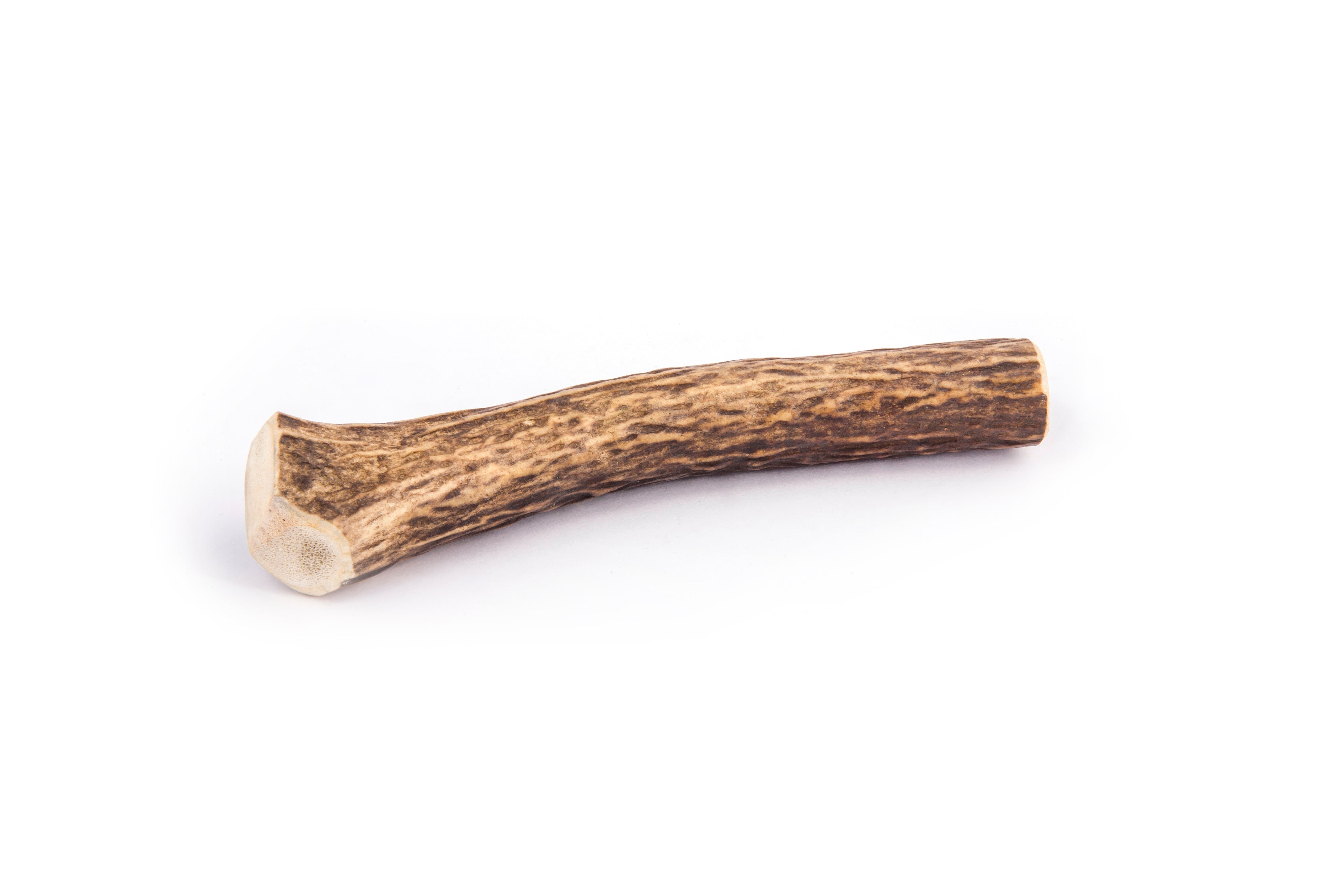 Elnio rago dalis, 12 cm, 1 vnt, KIETAS