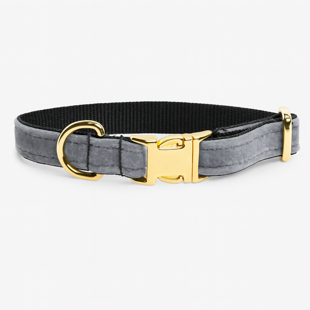 Reguliuojamas antkaklis, apsiūtas veliūru, pilkas