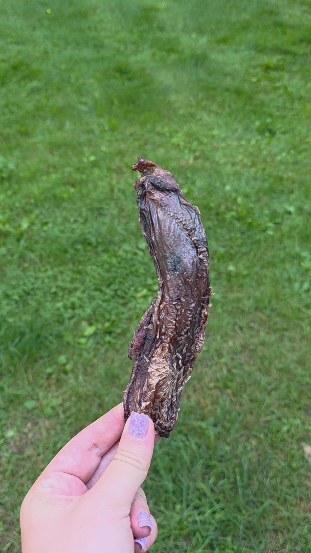 Vytinta poliežuvinė galvijų mėsa – 100% natūralus produktas, 100g