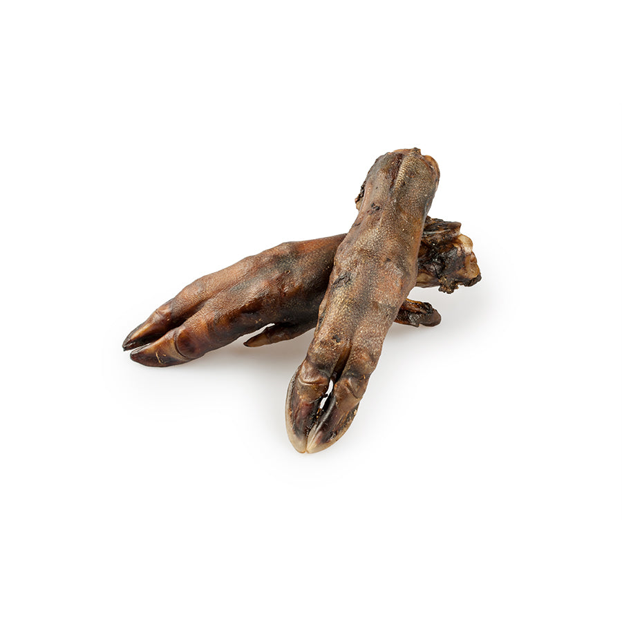 Laukinio šerno kojos, 5vnt rinkinys