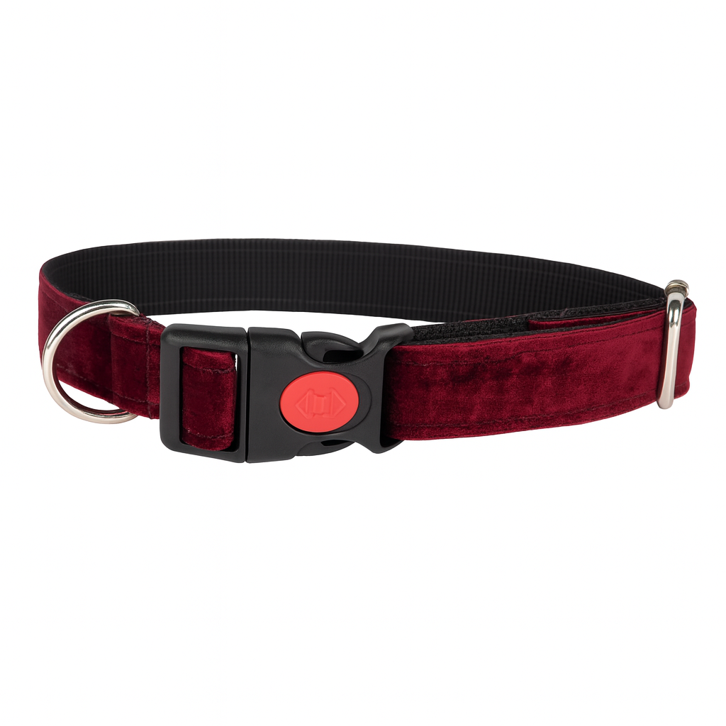 Reguliuojamas antkaklis, apsiūtas veliūru, raudonas