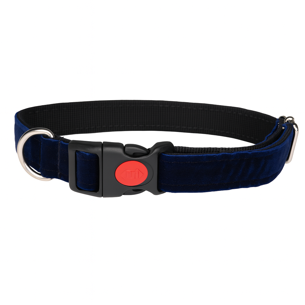 Reguliuojamas antkaklis, apsiūtas veliūru, mėlynas
