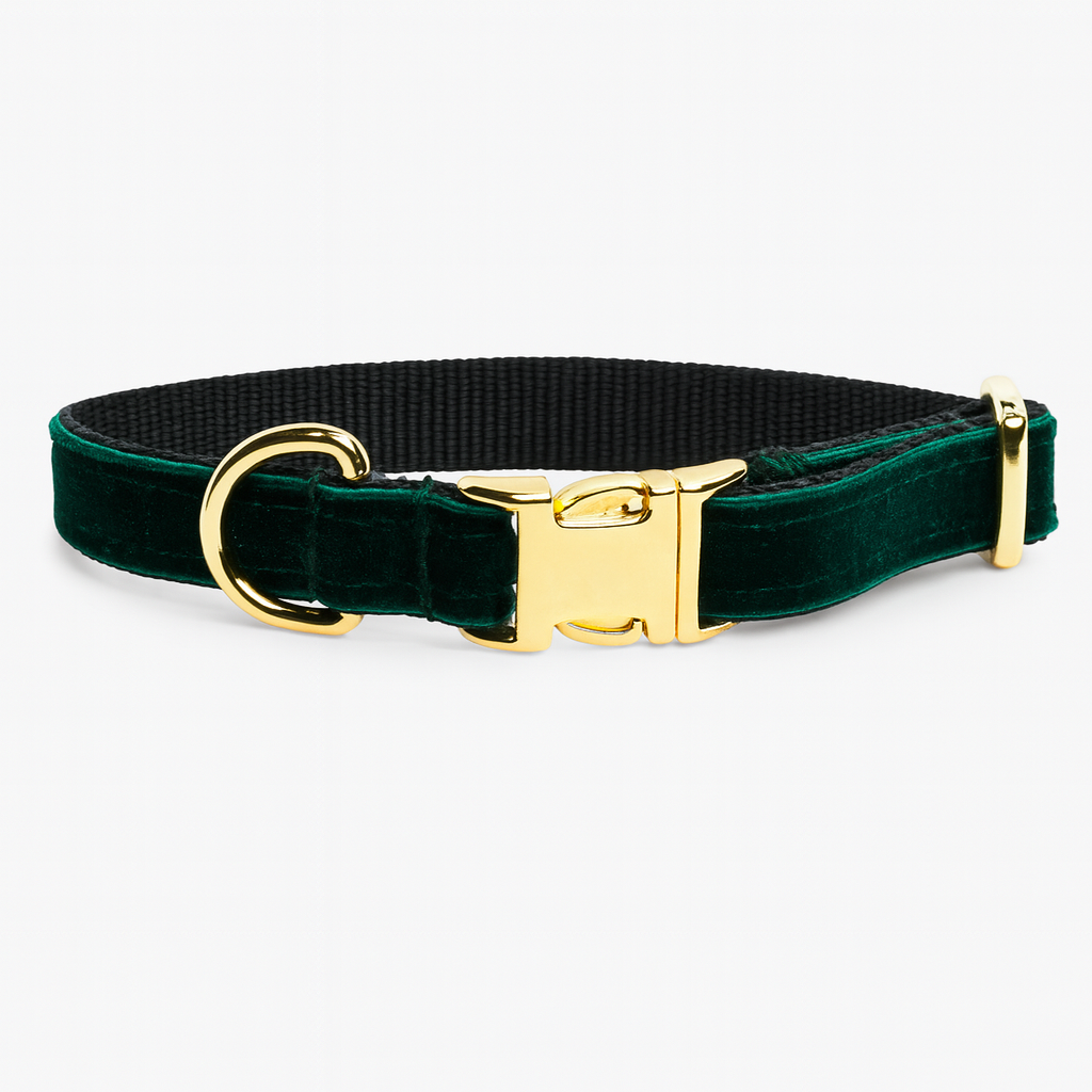 Reguliuojamas antkaklis, apsiūtas veliūru, žalias